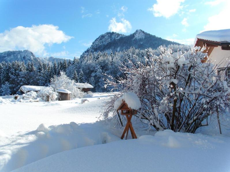 Ferienwohnungen Lackner - Chiemgau Karte Inzell Ngoại thất bức ảnh