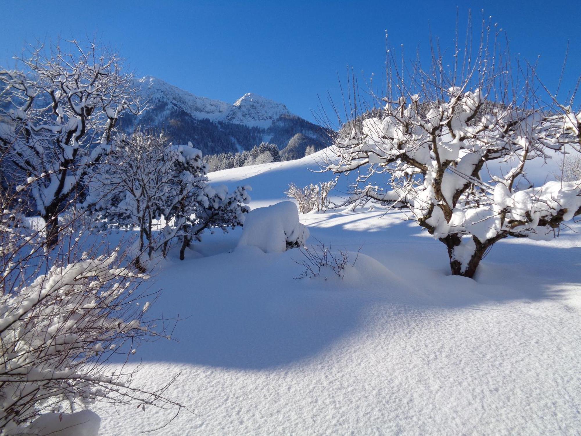 Ferienwohnungen Lackner - Chiemgau Karte Inzell Ngoại thất bức ảnh
